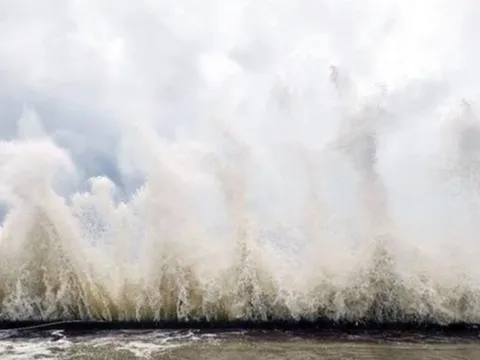 Bão số 14 Fung Wong xoay chiều dữ dội, sóng biển cao kỷ lục 9m