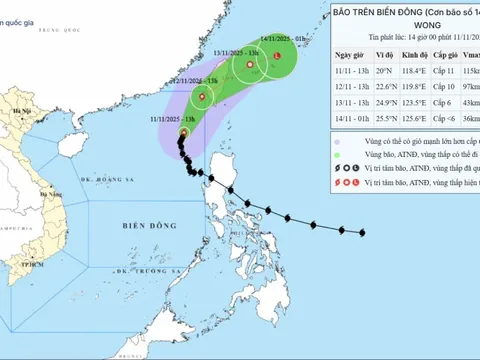 Vì sao bão số 14 Fung wong không di chuyển theo quy luật thông thường?