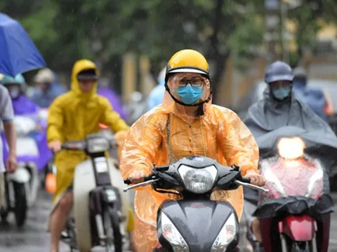 Dự báo thời tiết 11/11: Bao giờ miền Bắc hết nồm ẩm?