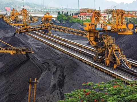 TKV chính thức sáp nhập thêm 2 công ty con