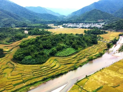 Thanh Hóa: Xã vùng biên thu tiền tỷ, nhờ giống nếp thơm, dẻo, chịu hạn tốt