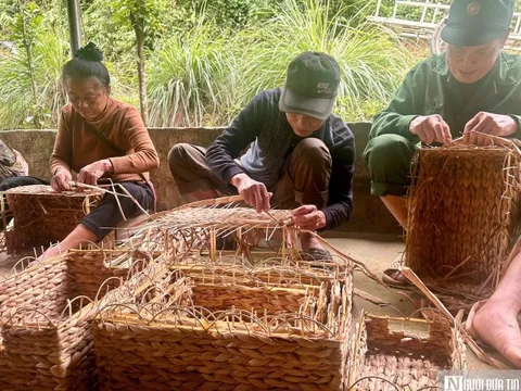 Bèo tây "lên đời" thành hàng xuất khẩu nhờ bàn tay khéo léo của người dân Nghệ An