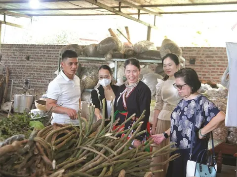 Phát triển và bảo tồn bản sắc ở vùng đồng bào dân tộc thiểu số