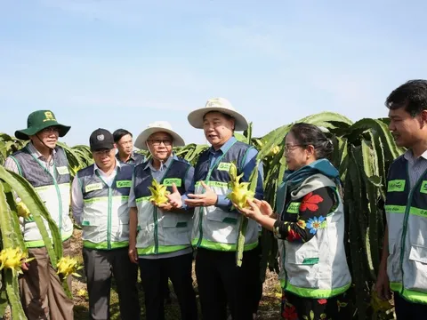 Khuyến nông 'bắt tay' doanh nghiệp: 'Thiên thời, địa lợi, nhân hòa' cho 1 triệu ha lúa chất lượng cao