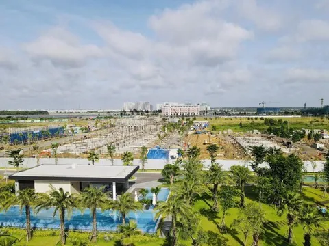 Cổ phiếu Novaland bật tăng kịch trần nhờ đâu?