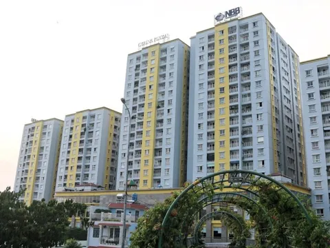 CII tái cơ cấu cổ phiếu NBB