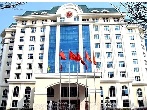 Xóa bỏ thuế khoán: Cục Thuế kêu gọi hiệp hội, đại lý thuế và hộ kinh doanh cùng vào cuộc