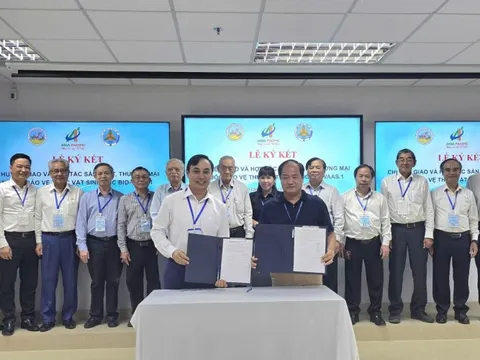 Thúc đẩy chế phẩm sinh học trên lúa: 'Tấm vé xanh' cho hạt gạo Việt