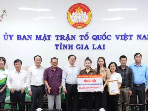Gia Lai được hỗ trợ 10 tỷ đồng để khắc phục hậu quả bão lũ