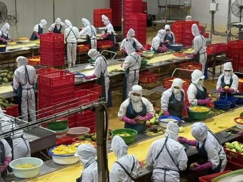 Khoa học nông nghiệp: Từ phòng thí nghiệm đến cánh đồng