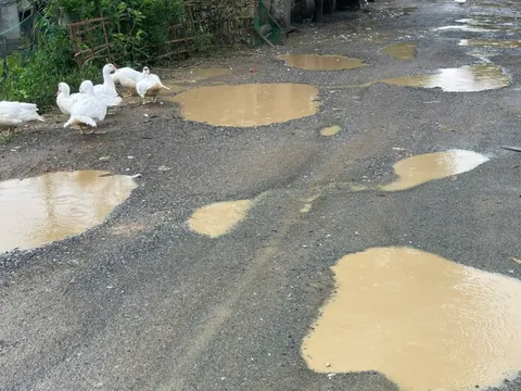 Con đường xuống cấp nghiêm trọng, ổ voi ổ gà thành vũng nước thả vịt