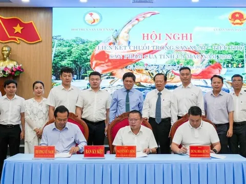 Xây dựng chuỗi liên kết cua Cà Mau: Bệ phóng cho đặc sản vươn xa