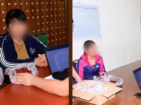 Bản tin 17/11: Bắt giữ ổ nhóm lừa đảo chiếm đoạt tài sản qua bán "thuốc đông y"