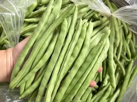 Thứ rau quả chính vụ mùa đông, ăn là "nghiền", thúc đẩy xương chắc khỏe, tăng cường chức năng miễn dịch