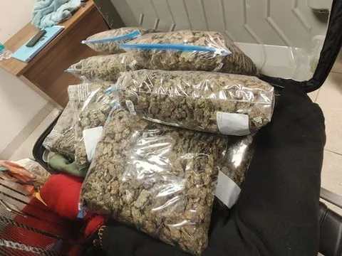 Kiểm tra chiếc vali, phát hiện thứ trị giá 29,7 tỷ đồng