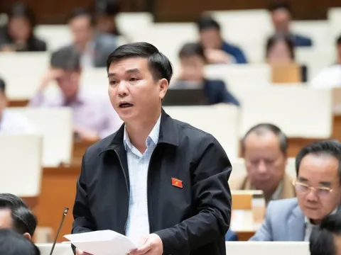 ĐBQH đề nghị cấm tuyệt đối hành vi ép mua bảo hiểm khi vay vốn ngân hàng