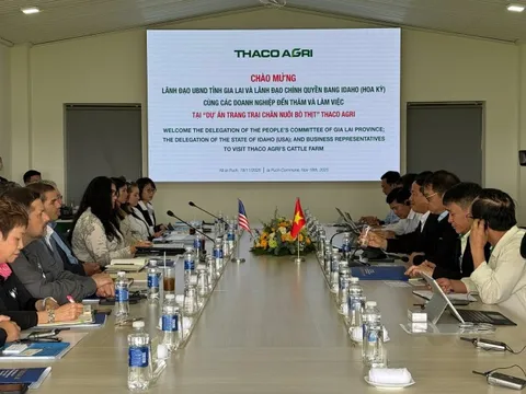 Gia Lai tìm cơ hội hợp tác trong lĩnh vực chăn nuôi với Bang Idaho, Hoa kỳ
