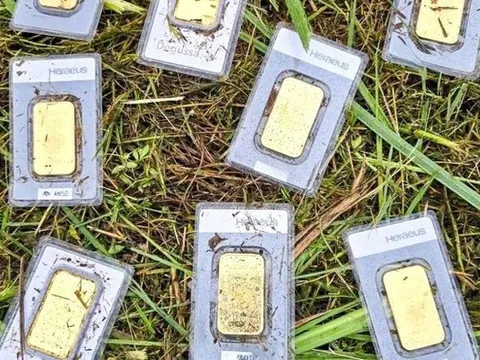 Đi cắt cỏ, nam công nhân tìm thấy 8 miếng vàng trị giá 920 triệu đồng