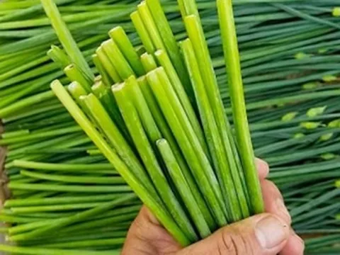 Ăn 1 nắm rau này như "nhân sâm của người nghèo", ở quê có đầy bỏ qua quá phí