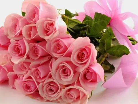 Những loài hoa ý nghĩa tặng thầy cô ngày Nhà giáo Việt Nam 20/11