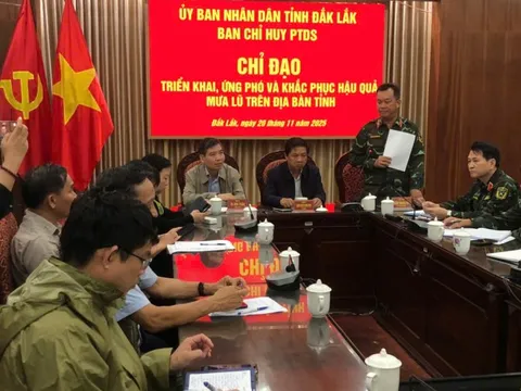 Hơn 3.000 người tại 28 xã, phường ở Đắk Lắk cần sơ tán khẩn cấp