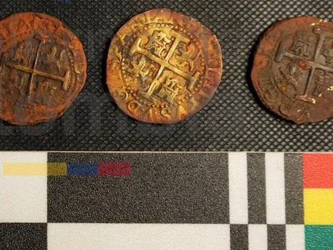 Thu hồi tiền vàng, pháo, cốc sứ từ xác tàu đắm 300 năm tuổi