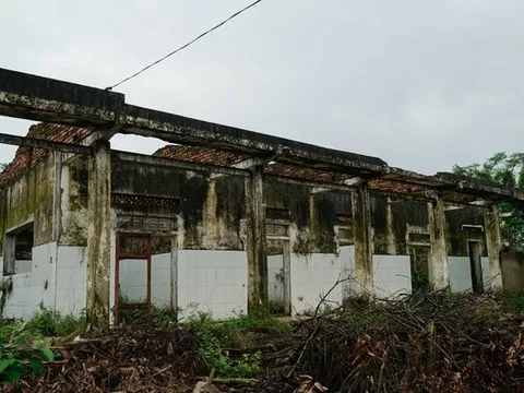 Hà Tĩnh: Cận cảnh phòng khám bỏ hoang nằm giữa khu “đất vàng” trở thành nơi chăn nuôi gia súc