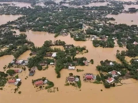 Bộ GD&ĐT sẽ cấp phát miễn phí toàn bộ sách giáo khoa cho học sinh vùng lũ