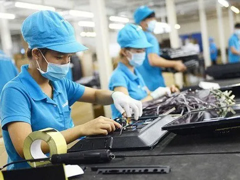 Tham vấn ý kiến về hỗ trợ pháp lý liên ngành cho doanh nghiệp nhỏ và vừa