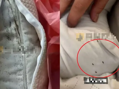 Bỏ 900.000 đồng mua gối, cô gái sốc nặng khi mở ra thấy thứ “rùng mình” bên trong