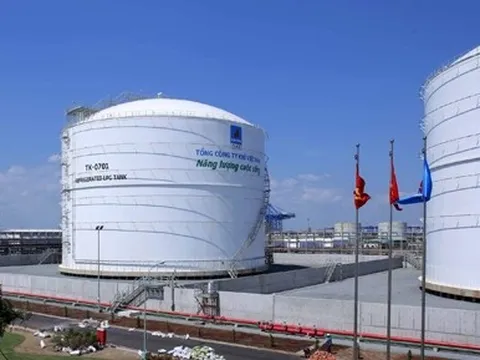 Xây lắp Dầu khí Việt Nam bị phạt vì giao dịch nội bộ "chui"