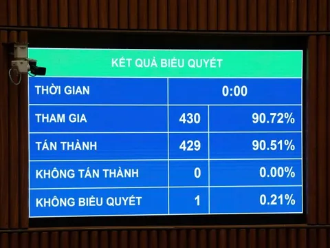 Quốc hội thông qua Luật Tương trợ tư pháp về dân sự, cho phép lấy lời khai trực tuyến