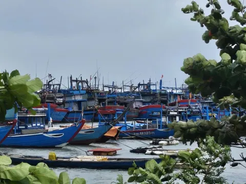 Các địa phương miền Trung chủ động ứng phó bão số 15