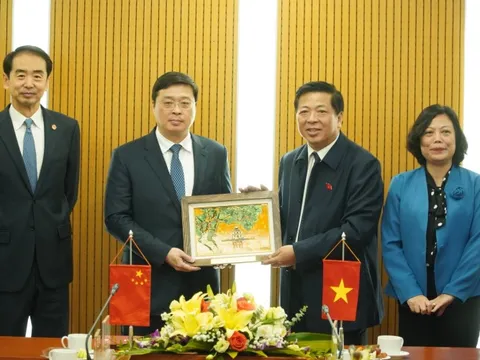 Thương mại Việt Nam – Quảng Tây vượt 42 tỷ USD: Tăng trưởng nhờ kết nối hạ tầng