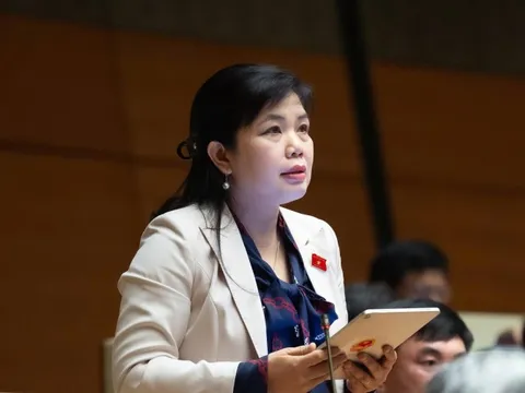 Lý do đề xuất đưa cảng Con Ong - Hòn Nét vào quy hoạch quốc gia