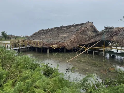 Chàng trai 8X vượt qua giông bão, quyết “hồi sinh” khu sinh thái ven đô Hà Tĩnh