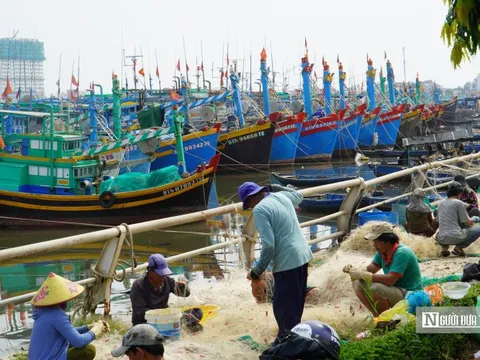 Bão số 15 diễn biến khó lường, hàng trăm tàu cá khẩn cấp vào bờ trú bão ở Phan Thiết