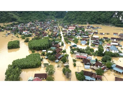 Cộng đồng quốc tế đã hỗ trợ Việt Nam gần 16 triệu USD khắc phục hậu quả bão lũ