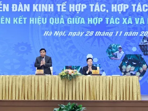 Liên kết hiệu quả giữa hợp tác xã và doanh nghiệp