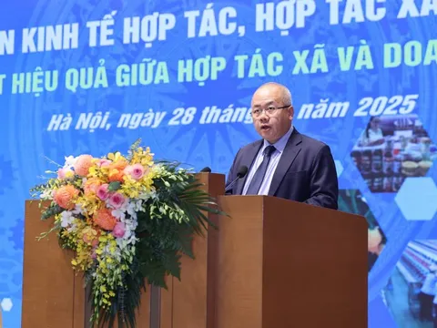 Liên kết hợp tác xã-doanh nghiệp: Lợi ích đa chiều