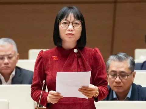 ĐBQH: Nhiều dự án số hóa đầu tư lớn nhưng hiệu quả thấp