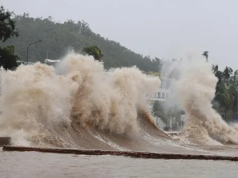 Bão số 15 đổi hướng, đi chậm "lạ thường", hướng thẳng nơi nào nước ta?