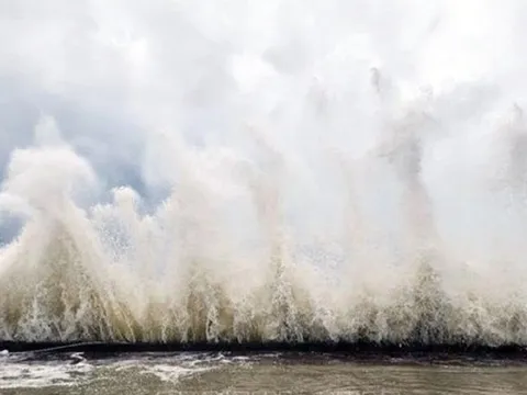 Bão số 15 Koto tiếp tục đi kiểu "nhúc nhích", hướng về nơi nào nước ta?