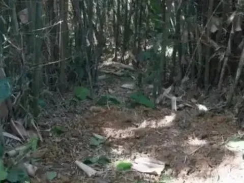 Đi đào giun, người đàn ông phát hiện kho báu quý giá