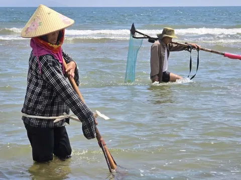 Ngư dân Hà Tĩnh cần mẫn “đi giật lùi” mưu sinh nơi cửa biển