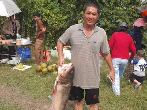 Hằng trăm người đổ về nơi đặc biệt này bắt cá "khủng" 30 kg