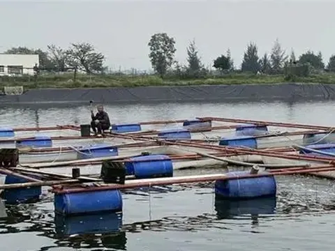 Tổng hợp nhu cầu giống, vật tư thủy sản để khôi phục sản xuất sau mưa lũ