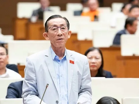 Đại biểu cảm kích trước chiến dịch giúp người dân vùng bão, lũ có nhà trước Tết