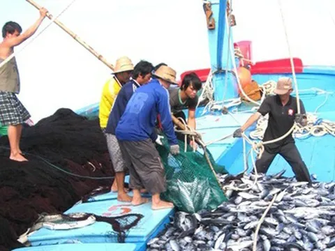 Ngưng hiệu lực thi hành quy định kích thước tối thiểu được phép khai thác một số loài thủy sản