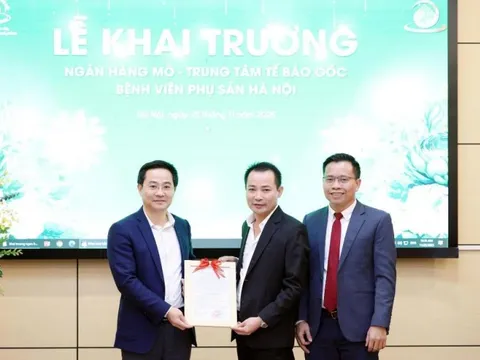 Bước tiến mới trong chiến lược y học tái tạo